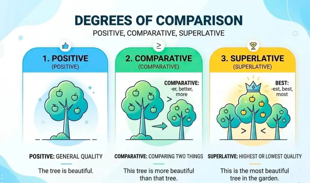 Degree কাকে বলে